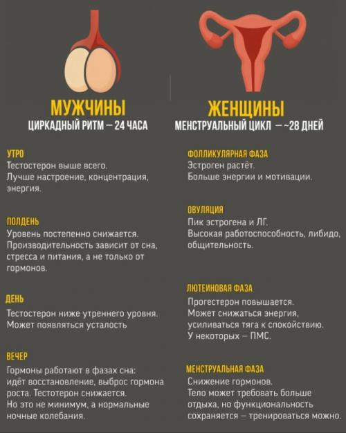 Гормональный цикл у женщин - это действительно сложная система, на которую влияет множество факторов. 
