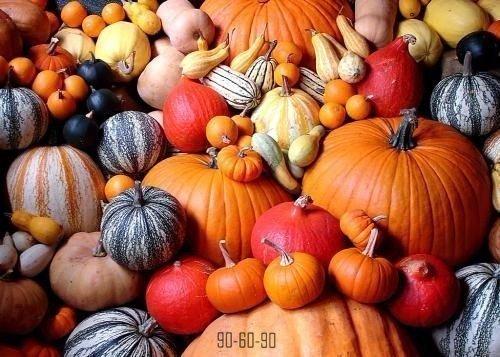 Самые полезные 22 продукта для твоего здоровья! 03