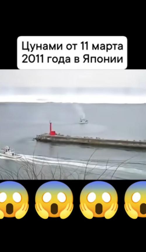 Причина: мощное землетрясение магнитудой 9, 0-9, 1 произошло у побережья северо-восточной Японии, вызвав огромное цунами. 
