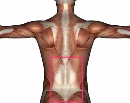 Как люди свои спины в спортзале убивают.