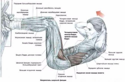Как качать пресс, не увеличивая при этом талию? Как качать пресс, не увеличивая при этом талию?