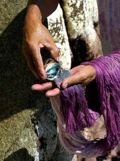 Почему фиолетовый цвет дороже золота стоил?  