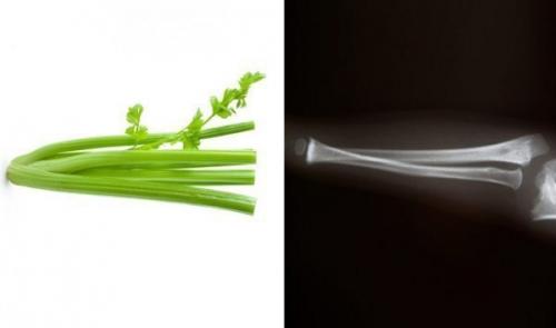 Еда полезна для той части тела, на которую похожа. 06 Еда полезна для той части тела, на которую похожа. 06