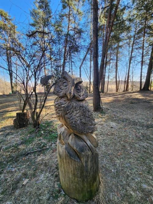 Автор: Евгения Евгеньева. 08