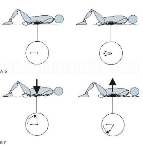Остеохондроз: Жалеть или закачивать спину?