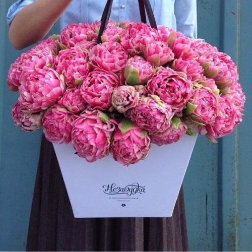 Никогда не надо слушать, что говорят цветы. 01