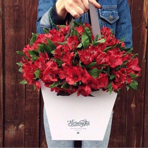 Никогда не надо слушать, что говорят цветы. 02