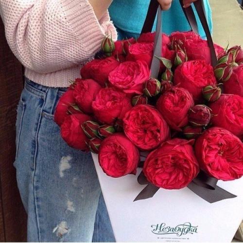 Никогда не надо слушать, что говорят цветы. 05