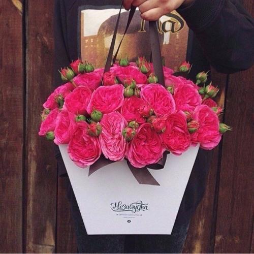 Никогда не надо слушать, что говорят цветы.