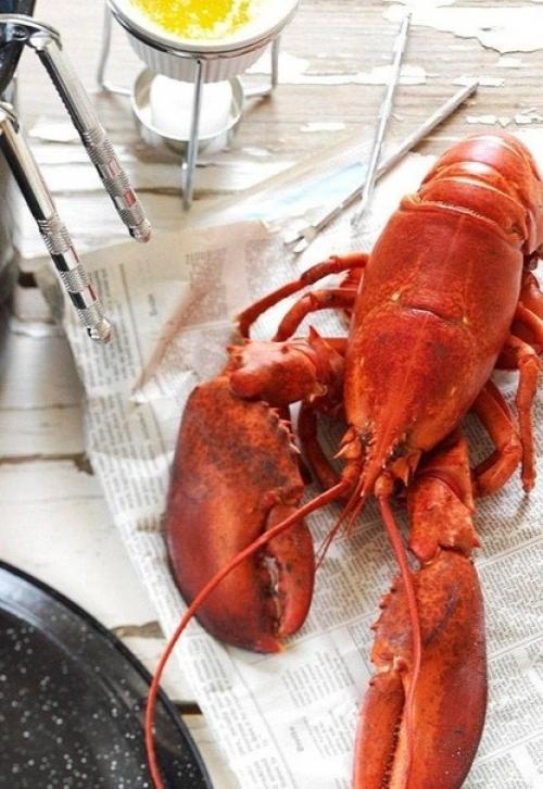 Как правильно готовить морепродукты. Как правильно готовить морепродукты.