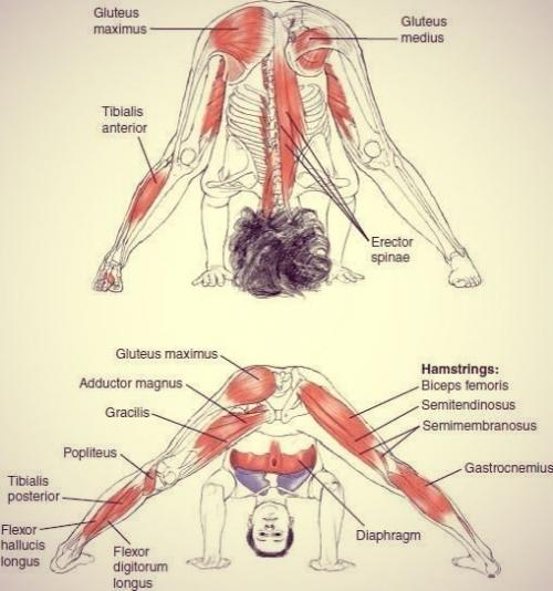 Растяжка всего тела! 06