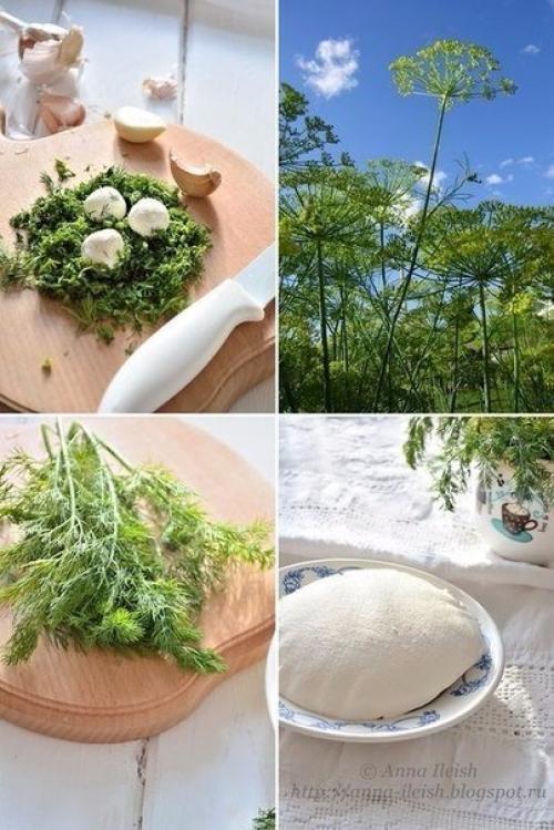 Творожный сыр из сметаны и кефира. Творожный сыр из сметаны и кефира.