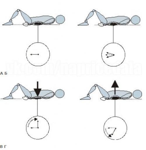 Остеохондроз: Жалеть или закачивать спину? 01