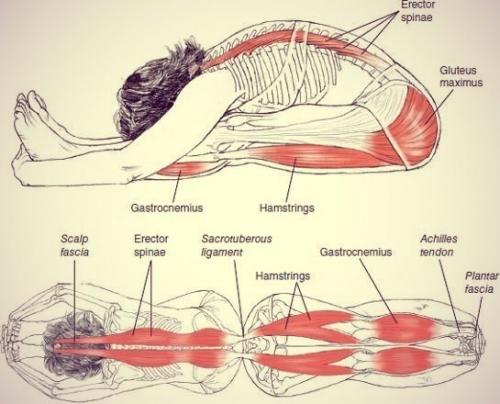 Растяжка всего тела! 04