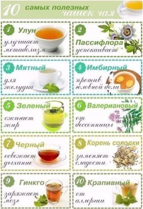 10 самых полезных чашек чая.

