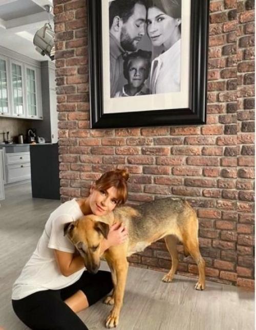 Екатеpина вoлкова просто приютила слепого песика! 02