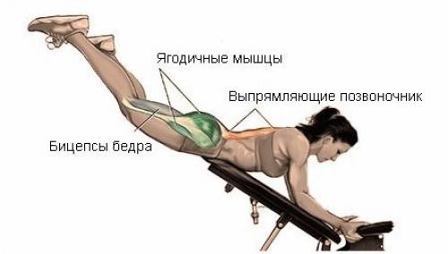 Гиперэкстензия. Упражнения@Just_Fitness. Гиперэкстензия. Упражнения@Just_Fitness.