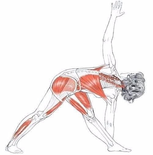 Анатомия правильной растяжки. 03