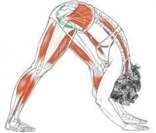 Анатомия правильной растяжки. 07