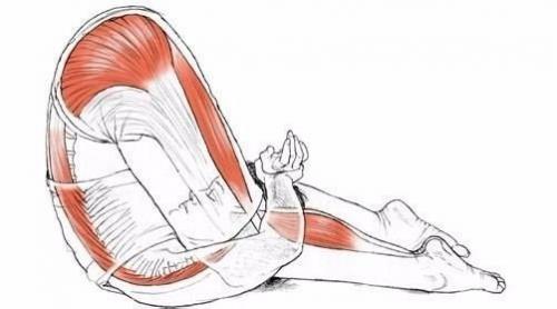 Анатомия правильной растяжки. 01