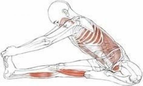 Анатомия правильной растяжки. 04