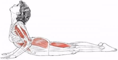 Анатомия правильной растяжки. 05