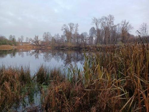 От читателя: 

Добрый день!  