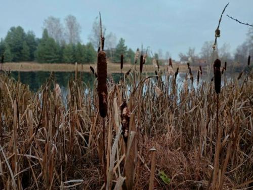 От читателя:   Добрый день! 01