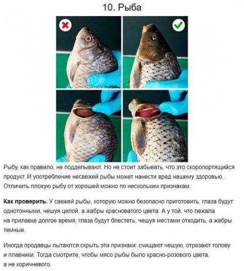 Как отличить качественную еду от вредной для здоровья? 09