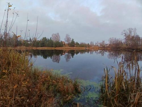 От читателя:   Добрый день! 04