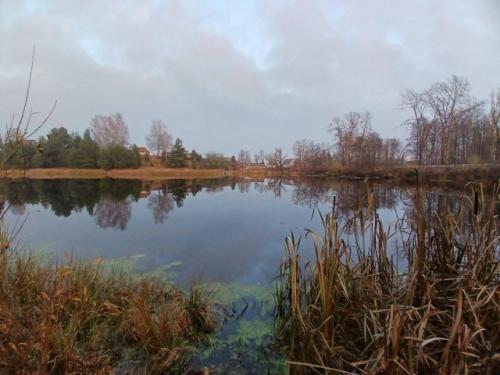 От читателя:   Добрый день! 03