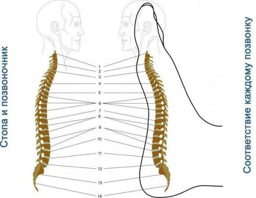 Массаж на все случаи жизни. 04