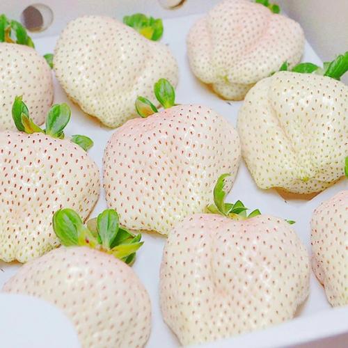 Невероятная клубника со смешанным вкусом ананаса и земляники. 01