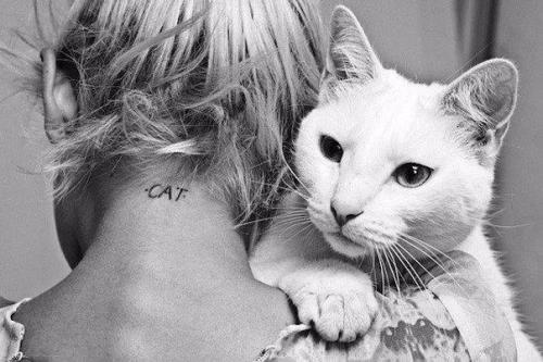 Какую пользу может принести кот? 

