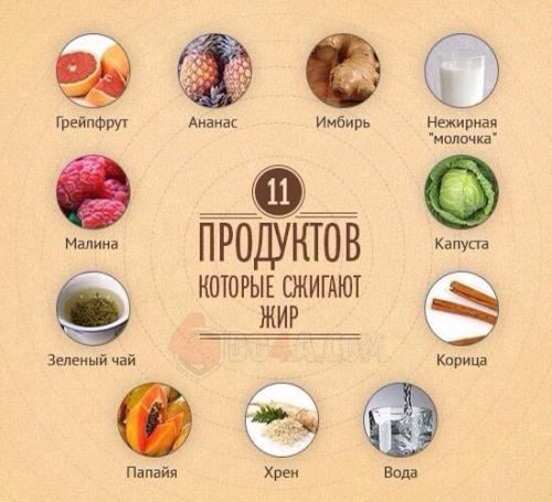 11 продуктов, которые сжигают жир.

