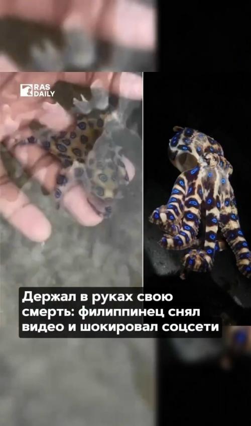 Видео британского туриста пользователей шокировало.
