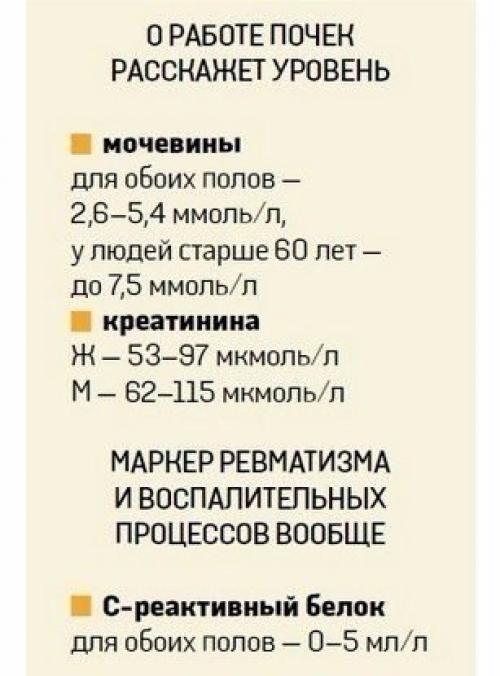 О чем расскажет анализ крови? 01