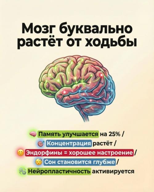 Пока ты долго сидишь, страдают и мозг, и вены. 01