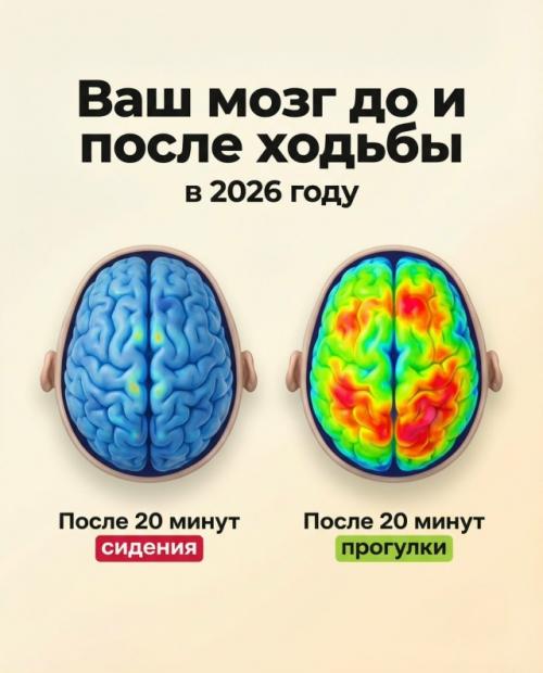 Пока ты долго сидишь, страдают и мозг, и вены. 
