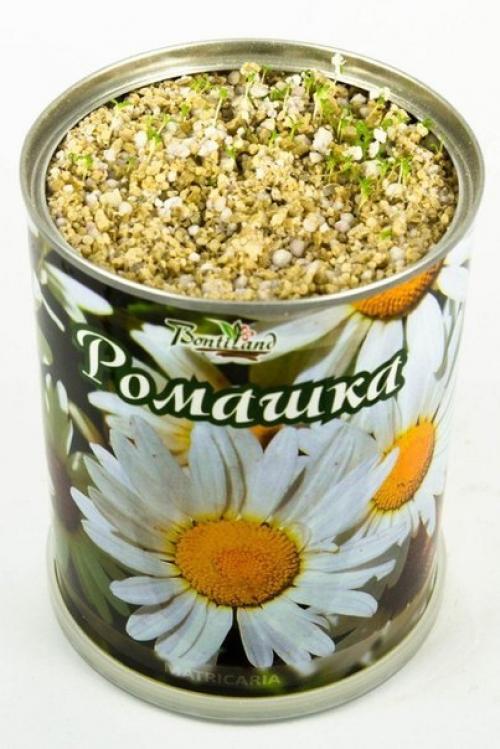 Спрей для роста волос - волосы начали расти, как никогда! 09