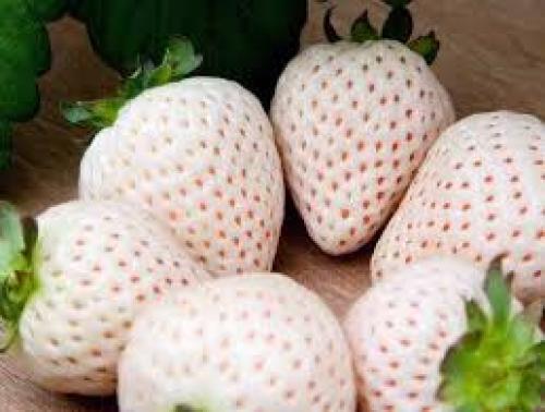 Невероятная клубника со смешанным вкусом ананаса и земляники. 03