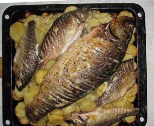 9 рецептов вкусных рыбных блюд. 07 9 рецептов вкусных рыбных блюд. 07