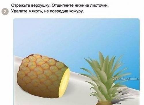 Как вырастить ананас в домашних условиях? 01