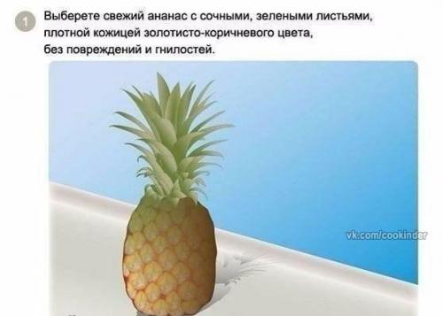 Как вырастить ананас в домашних условиях?