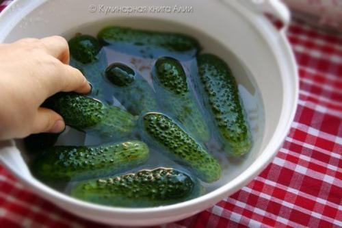 Быстрые малосольные огурчики в пакете. 01