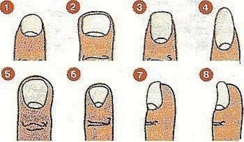 Характер по форме ногтей.