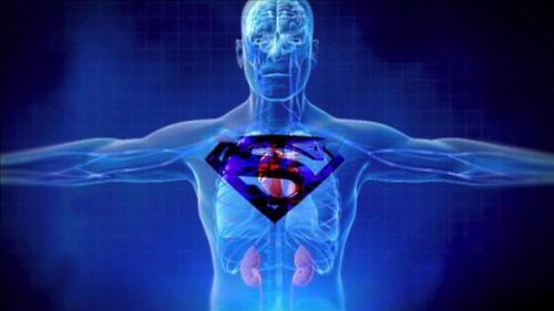 Подборка познавательных выпусков BBC: Подборка познавательных выпусков BBC: