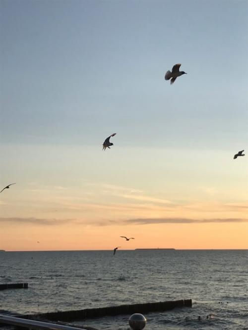 Уже совсем скоро наступит август. 04