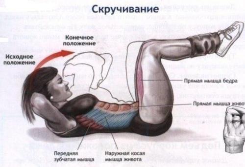 Скручивания на пресс и их виды! 

