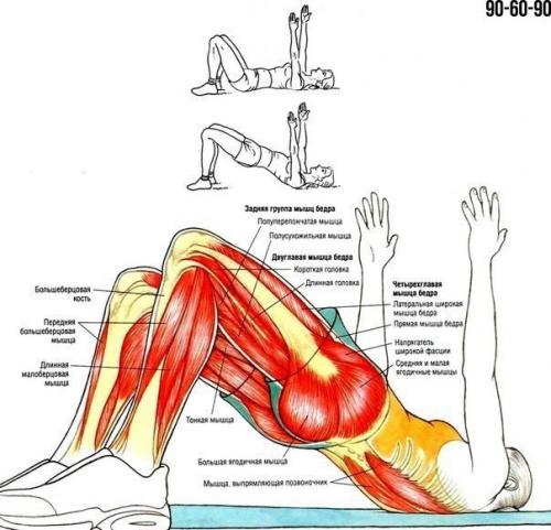 Упражнения для ягодиц и ног. 09 Упражнения для ягодиц и ног. 09